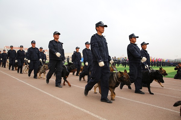 警犬方队入场.JPG