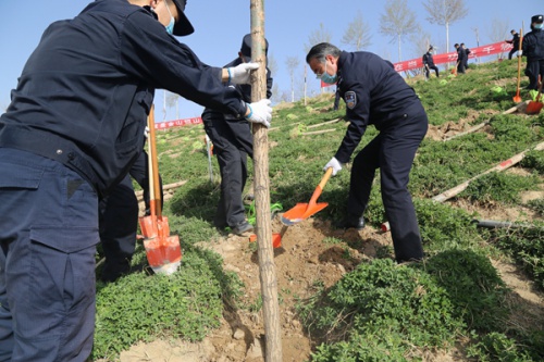 阳春飞燕归 植绿当时节 ——学院开展“创建生态校园 建成园林单位”系列活动